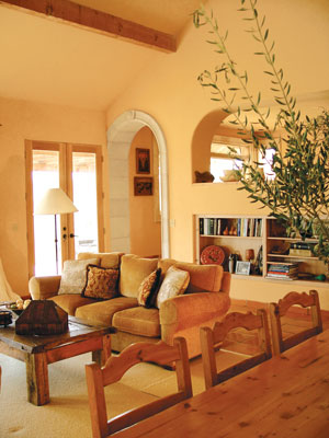 
Homeowners achieve warmth and brilliance in their living room using Tobias Stucco natural, non toxic wall finish.
